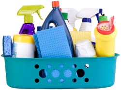 Organic Cleaning Products Organic Cleaning Products