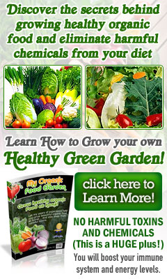 Organic Vegetable Garden