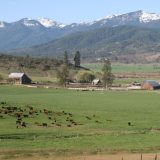 Scott River Ranch